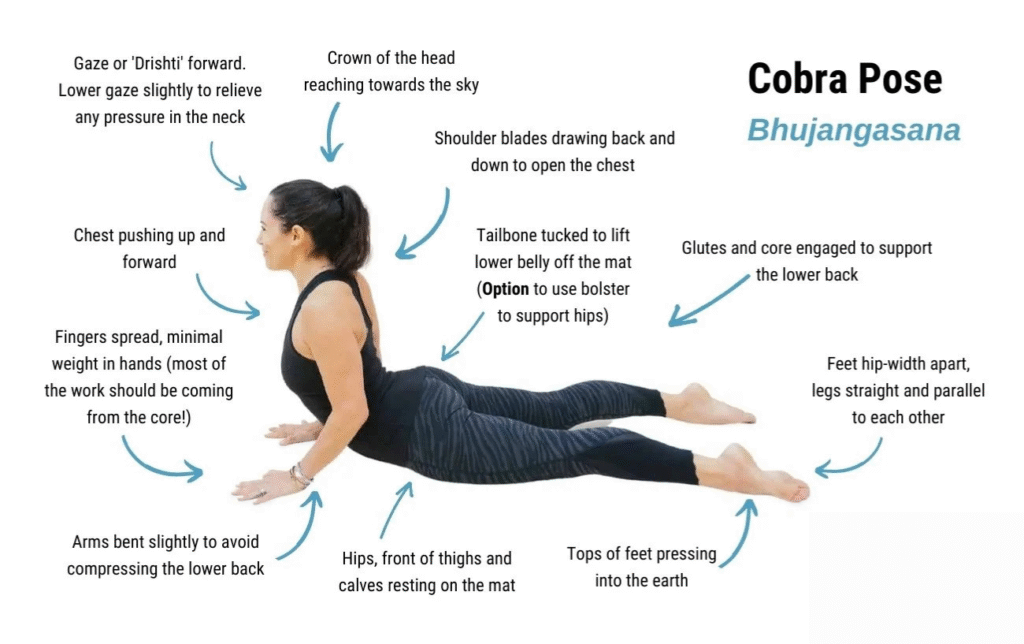 Bhujangasana (Cobra Pose)
