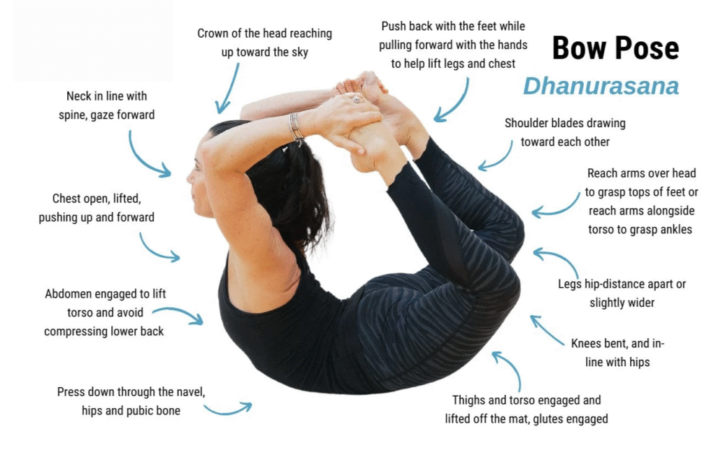 Dhanurasana (Bow Pose)