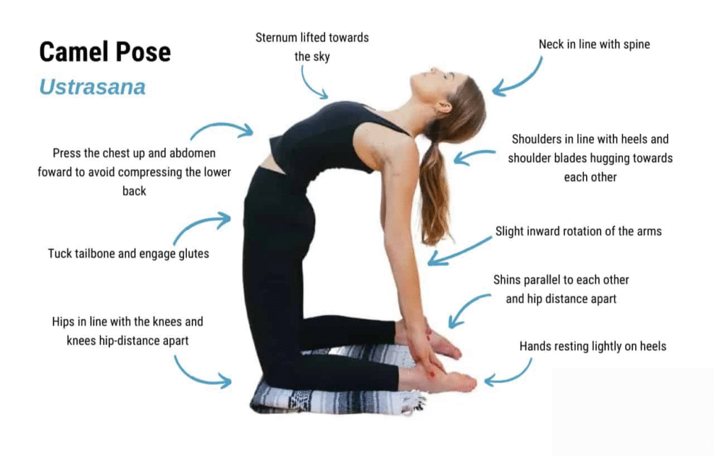 Ustrasana (Camel Pose)