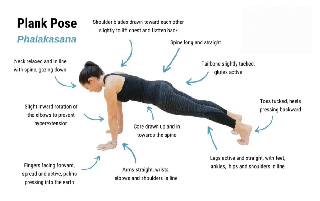 Phalakasana (Plank Pose)