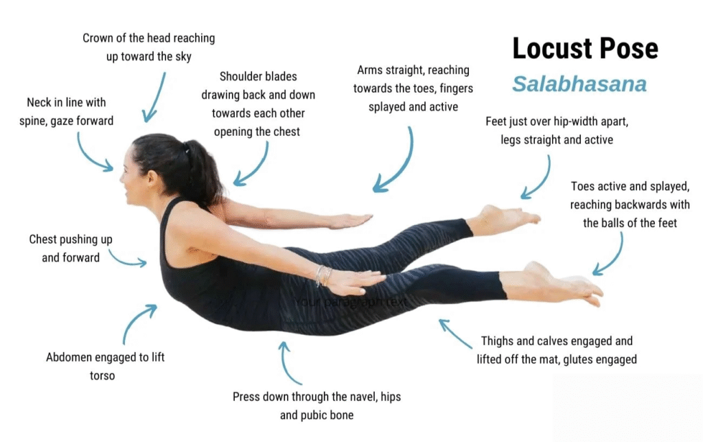 Shalabhasana (Locust Pose)