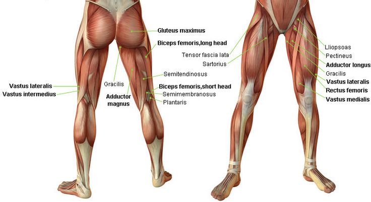 Leg Workout at Home for Stronger Thighs