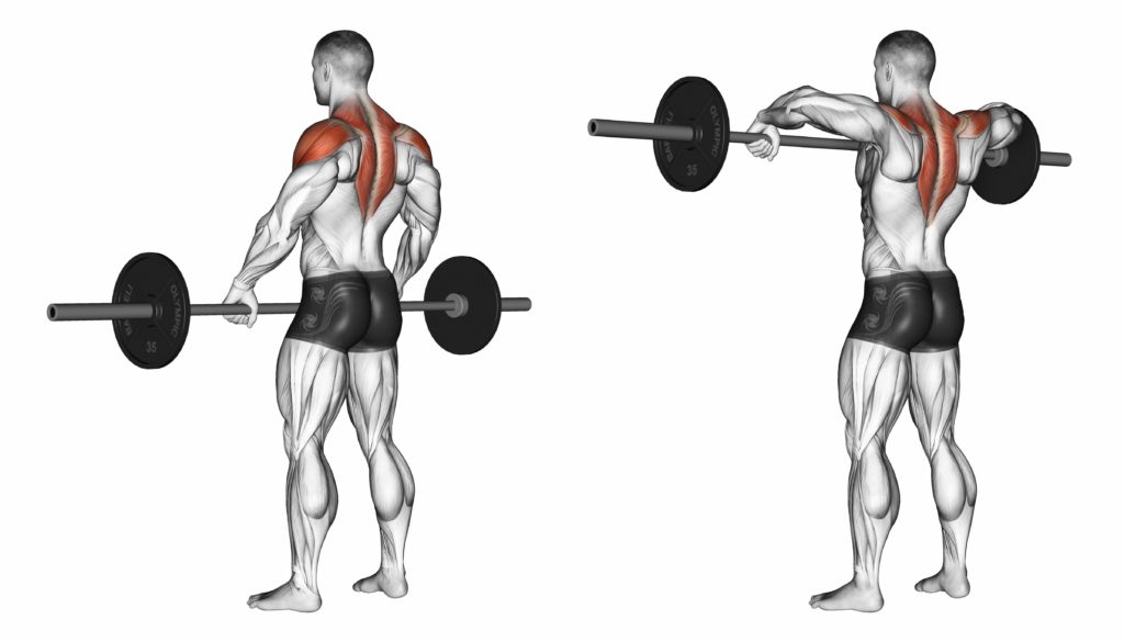 7 best shoulder workouts for beginners in the gym