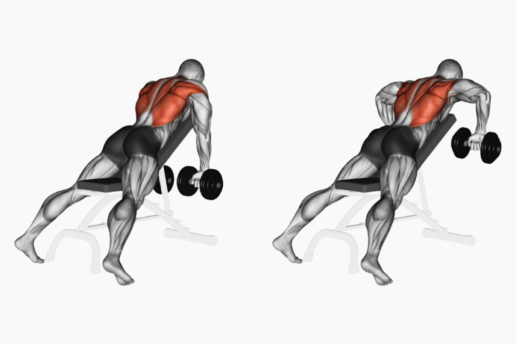 Back workout routine using dumbbells