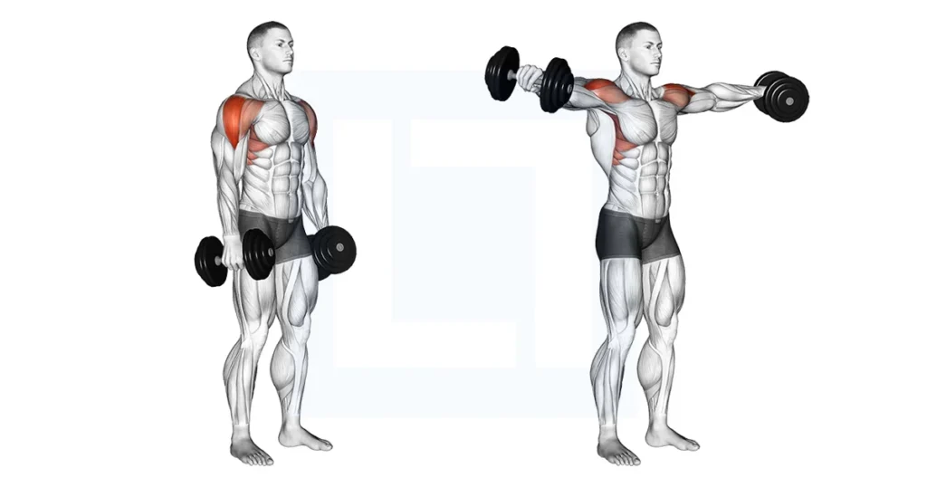 7 best shoulder workouts for beginners in the gym
