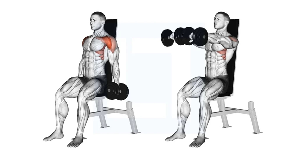 7 best shoulder workouts for beginners in the gym