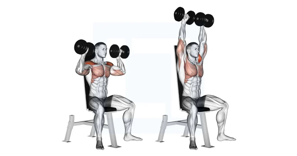 7 best shoulder workouts for beginners in the gym