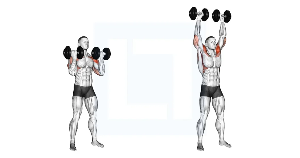 7 best shoulder workouts for beginners in the gym