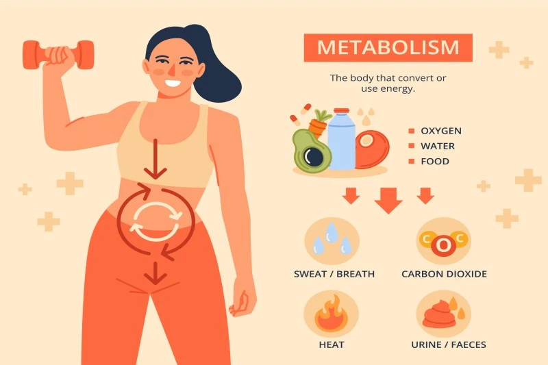 9 Morning Routine Steps Women Should Follow for Better Metabolism in India
